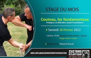 Stage systéma Nantes le 26 février 2022